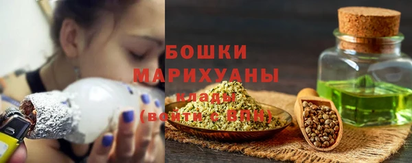 индика Белокуриха