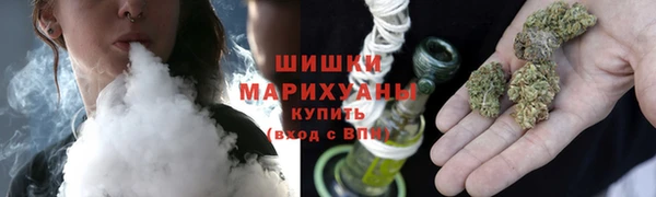 индика Белокуриха