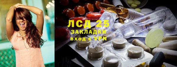 индика Белокуриха