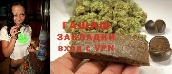 индика Белокуриха