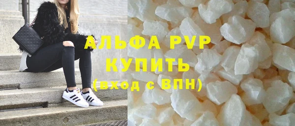 индика Белокуриха